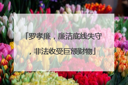 罗孝廉，廉洁底线失守，非法收受巨额财物