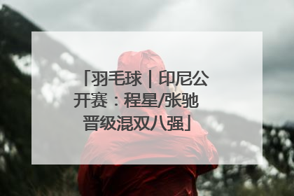 羽毛球｜印尼公开赛：程星/张驰晋级混双八强