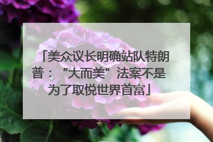 美众议长明确站队特朗普：“大而美”法案不是为了取悦世界首富