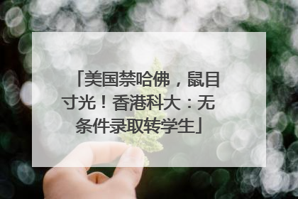 美国禁哈佛，鼠目寸光！香港科大：无条件录取转学生