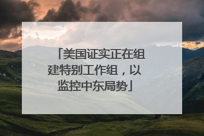 美国证实正在组建特别工作组，以监控中东局势