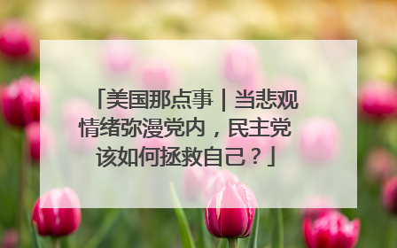 美国那点事｜当悲观情绪弥漫党内，民主党该如何拯救自己？