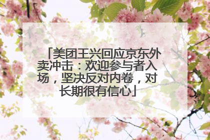 美团王兴回应京东外卖冲击：欢迎参与者入场，坚决反对内卷，对长期很有信心