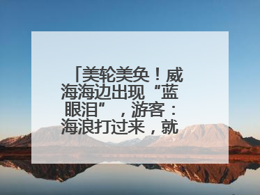 美轮美奂！威海海边出现“蓝眼泪”，游客：海浪打过来，就像星河一样
