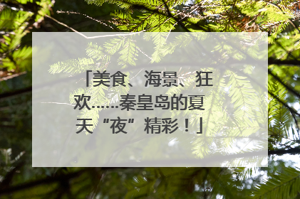 美食、海景、狂欢……秦皇岛的夏天“夜”精彩！