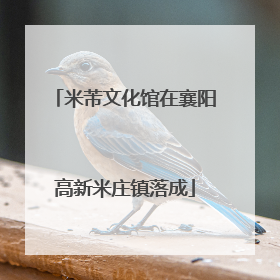 米芾文化馆在襄阳高新米庄镇落成