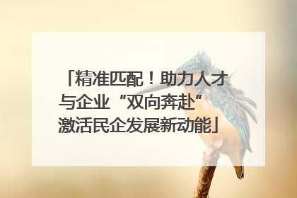 精准匹配！助力人才与企业“双向奔赴” 激活民企发展新动能