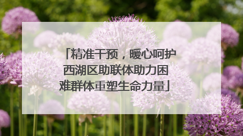 精准干预，暖心呵护 西湖区助联体助力困难群体重塑生命力量