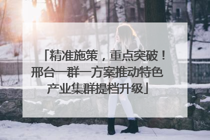 精准施策，重点突破！邢台一群一方案推动特色产业集群提档升级