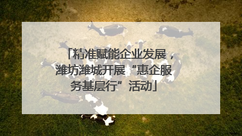 精准赋能企业发展，潍坊潍城开展“惠企服务基层行”活动