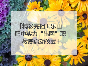 精彩亮相！乐山一职中实力“出圈”职教周启动仪式
