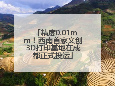 精度0.01mm！西南首家文创3D打印基地在成都正式投运