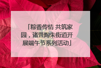 粽香传情 共筑家园，诸暨陶朱街道开展端午节系列活动