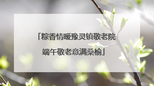 粽香情暖豫灵镇敬老院 端午敬老意满桑榆
