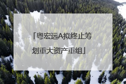 粤宏远A拟终止筹划重大资产重组