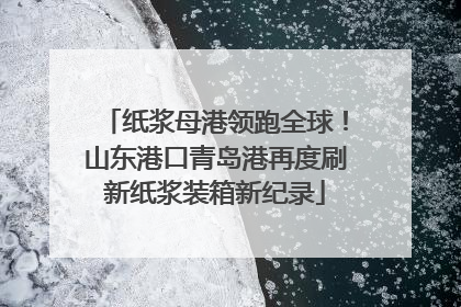 纸浆母港领跑全球！山东港口青岛港再度刷新纸浆装箱新纪录