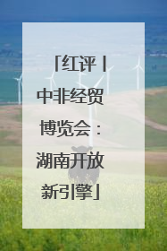 红评丨中非经贸博览会：湖南开放新引擎