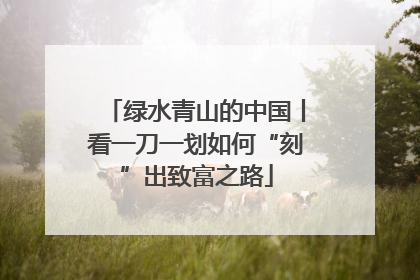 绿水青山的中国丨看一刀一划如何“刻”出致富之路