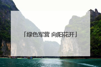 绿色军营 向阳花开