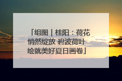 组图｜桂阳：荷花悄然绽放 碧波荷叶绘就美好夏日画卷