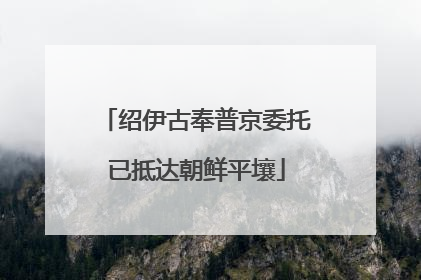 绍伊古奉普京委托已抵达朝鲜平壤