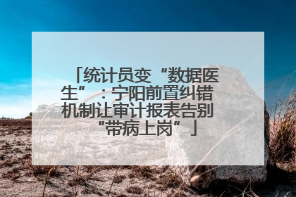 统计员变“数据医生”：宁阳前置纠错机制让审计报表告别“带病上岗”