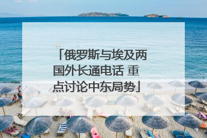 俄罗斯与埃及两国外长通电话 重点讨论中东局势