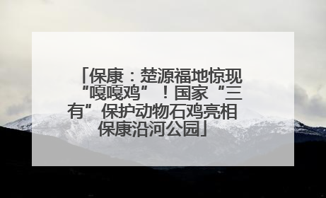 保康：楚源福地惊现“嘎嘎鸡”！国家“三有”保护动物石鸡亮相保康沿河公园