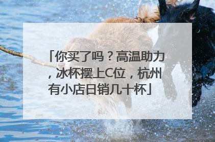 你买了吗？高温助力，冰杯摆上C位，杭州有小店日销几十杯