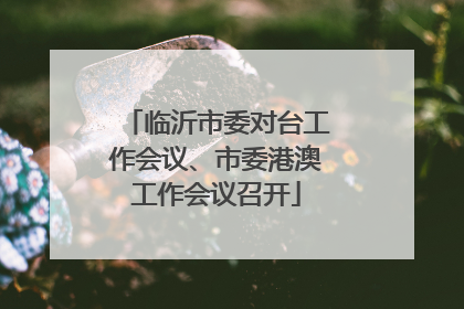 临沂市委对台工作会议、市委港澳工作会议召开