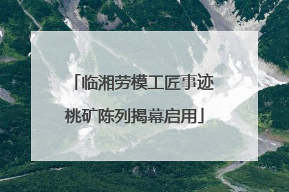 临湘劳模工匠事迹桃矿陈列揭幕启用