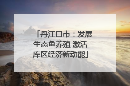 丹江口市：发展生态鱼养殖 激活库区经济新动能