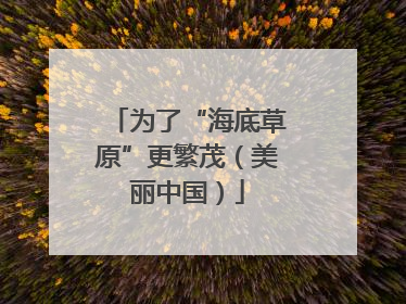为了“海底草原”更繁茂（美丽中国）