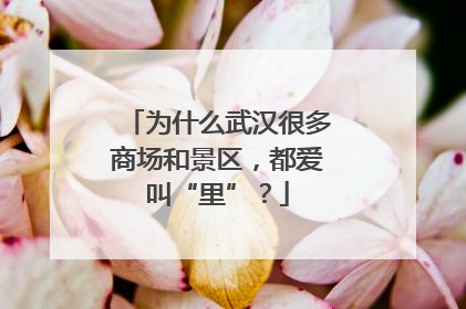 为什么武汉很多商场和景区，都爱叫“里”？