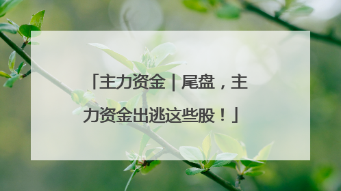 主力资金｜尾盘，主力资金出逃这些股！
