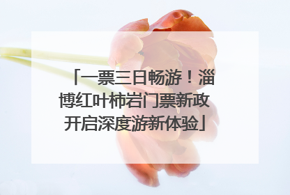 一票三日畅游！淄博红叶柿岩门票新政开启深度游新体验