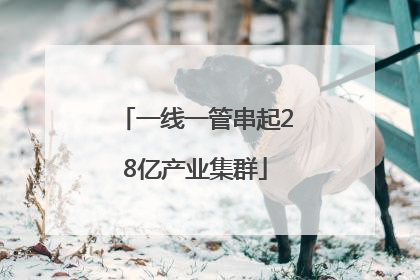 一线一管串起28亿产业集群