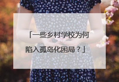 一些乡村学校为何陷入孤岛化困局？