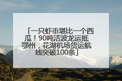 一只虾重堪比一个西瓜！90吨活波龙运抵鄂州，花湖机场货运航线突破100条