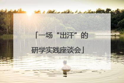 一场“出汗”的研学实践座谈会