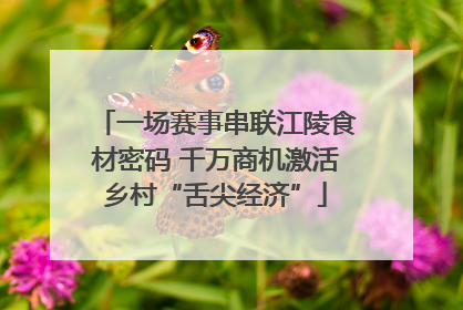 一场赛事串联江陵食材密码 千万商机激活乡村“舌尖经济”