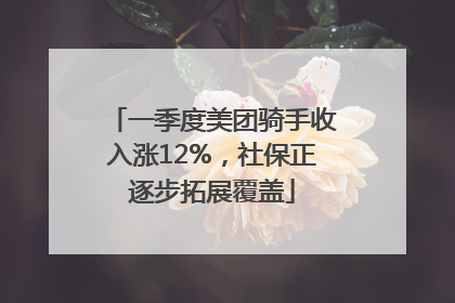 一季度美团骑手收入涨12%，社保正逐步拓展覆盖