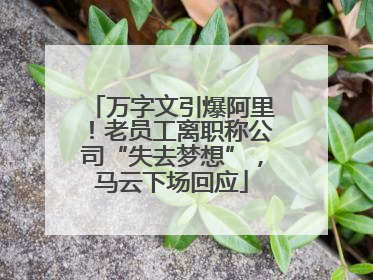 万字文引爆阿里！老员工离职称公司“失去梦想”，马云下场回应