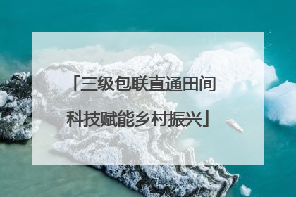 三级包联直通田间 科技赋能乡村振兴