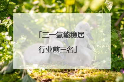 三一氢能稳居行业前三名