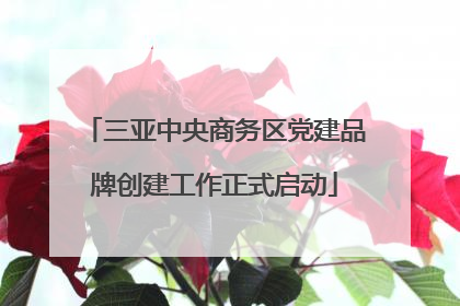 三亚中央商务区党建品牌创建工作正式启动