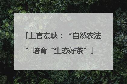 上官宏耿：“自然农法”培育“生态好茶”