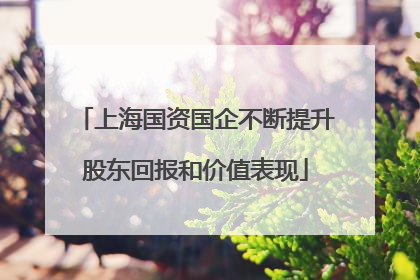 上海国资国企不断提升股东回报和价值表现