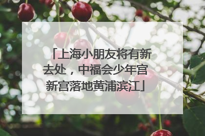上海小朋友将有新去处，中福会少年宫新宫落地黄浦滨江
