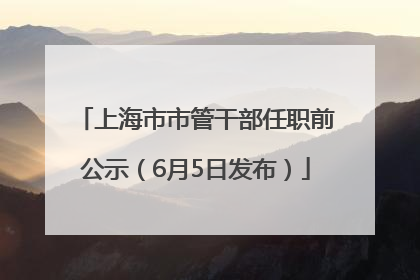上海市市管干部任职前公示（6月5日发布）